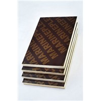 high quality film faced plywood