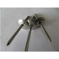 China Stainless steel open type large cap blind rivets