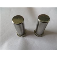 China stainless steel flat head  blind rivet nuts