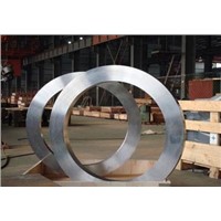 Titanium ring for axle bearing