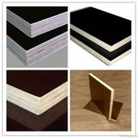 Shuttering plywood