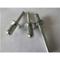 china Hippocampal rivet