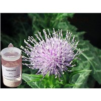 Milk Thistle Extract (Silybin)