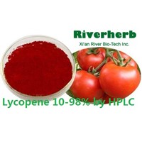 Natural tomato extract with 5% Lycopene