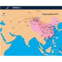 railway logistics from China to Uzbekistan