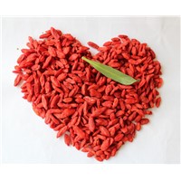High Quality Wolfberry 550 pcs/50g
