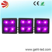 300w cob led grow light with patent cooling system