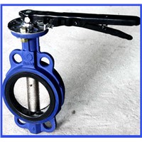 Two shafts butterfly valve
