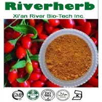 Natural Wolfberry( Goji)  extract with 40% Polysaccharide