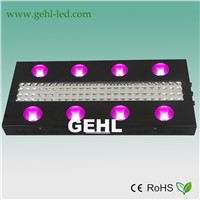 innovative design high power 1000w led grow lighting for hydroponic system