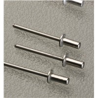 High quality! hot sale! stainless nuts bolts closed end blind rivet