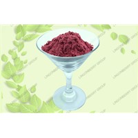Elderberry Juice Powder
