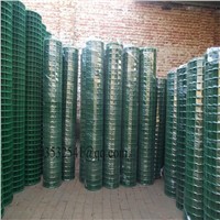 Holland Welded Wire Mesh Plastic Coated