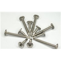 Hot sale Various head self tapping screw