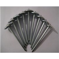 2-1/2'' Smooth Shank Roofing Nail With Umbrella Head