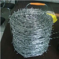 Bright Hot Galvanized/Electro Galvanized Barbed Wire (Two Main Wires)