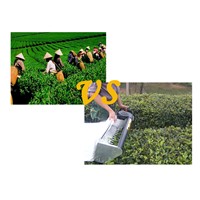 Single Gasoline Tea Harvester High Quality