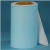 Cheap Price Pp Spunbond Nonwoven Fabric