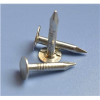 3/4'' Clout Extra Large Head Common Nail