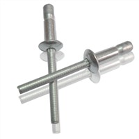 Competitive price all steel cup type rivet/countersunk head rivet