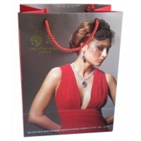 Printed Paper Bags | Custom Shopping Bags