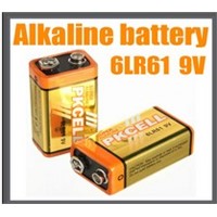 Alkaline 9V 6LR61 dry batteries