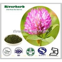 Natural Red Clover extract