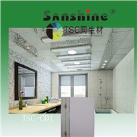 new China pvc panel colour for wall