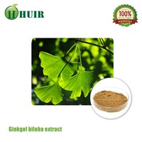 Ginkgo Biloba Leaf Extract 24% Flavones/6% Lactones CP05, CP10, CP15, USP