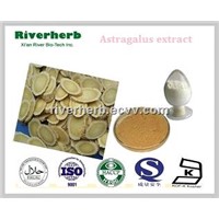 Natural Astragalus extract with 50% polyccharide