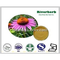 Natural Echinacea extract with 4% chicoric acid