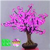 0.8m Pink Color Mini LED Cherry Blossom Christmas New Year Decoration Tree