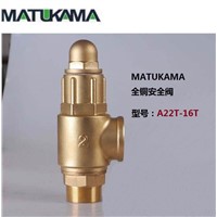 famous brand safety valve (bronze or SS304,316)