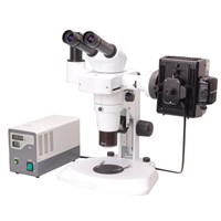 BS-3060F Fluorescent Stereo Microscope