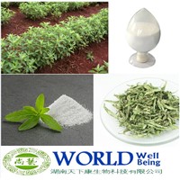 Factory High Quality Stevia Leaf Extract 95% Stevioside RA 98% Stevia Rebaudiana