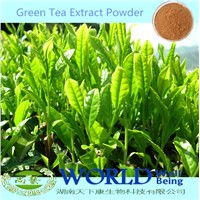 100% Natural 98%Tea Polyphenols/EGCG Green Tea Extract Powder Green Tea Extract Tea Polyphenols