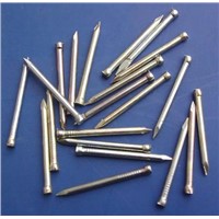 Stainless Steel Headless Nails