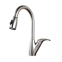 Stainless steel 1-handle pull-down kitchen faucet AGCP11
