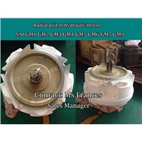 SAI GM radial piston hydraulic motor (low speed hydraulic motor )