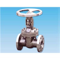 ANSI pure nickel globe valve