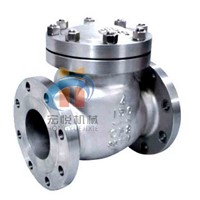 API Stainless Steel Swing Check Valve