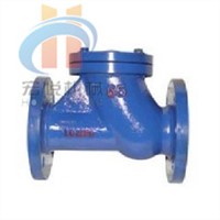 HQ41 sliding path roller type check valve structures characteristics made in China