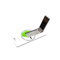 Promotional Card USB Flash Drive Disk Pendrive Perfect for Gift