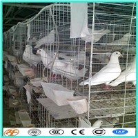 High Quality Pigeon Cage