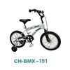 Cool BMX Bikes for Boys