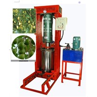 Full automatic hydraulic neem seeds cold press  oil  machine  neem oil press machine for sale