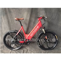 European standard electric bike/bicycle 250W36V