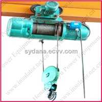 Wire rope electric hoist for crane