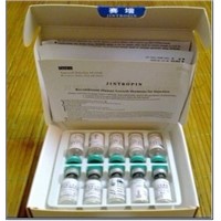 Gensci Jintropin, Jintropin HGH Human Growth Hormone Best Price