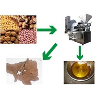 Peanut screw oil press machine, soybean screw oil press machine